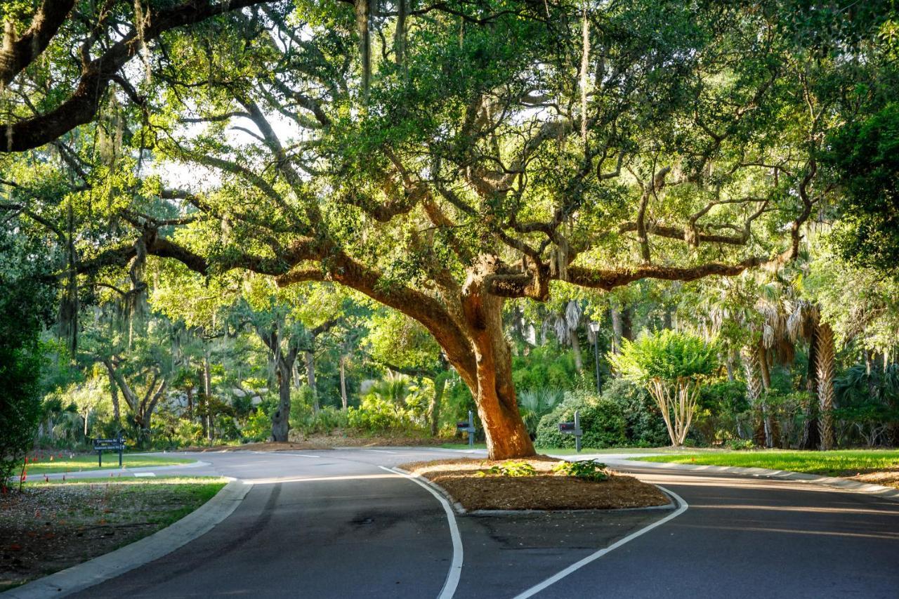 1313 Pelican Watch - Seabrook Island - Beachfront 5 Star Condo - Fido Friendly מראה חיצוני תמונה