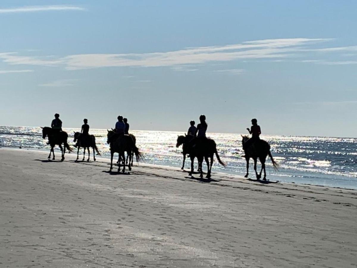 1313 Pelican Watch - Seabrook Island - Beachfront 5 Star Condo - Fido Friendly מראה חיצוני תמונה