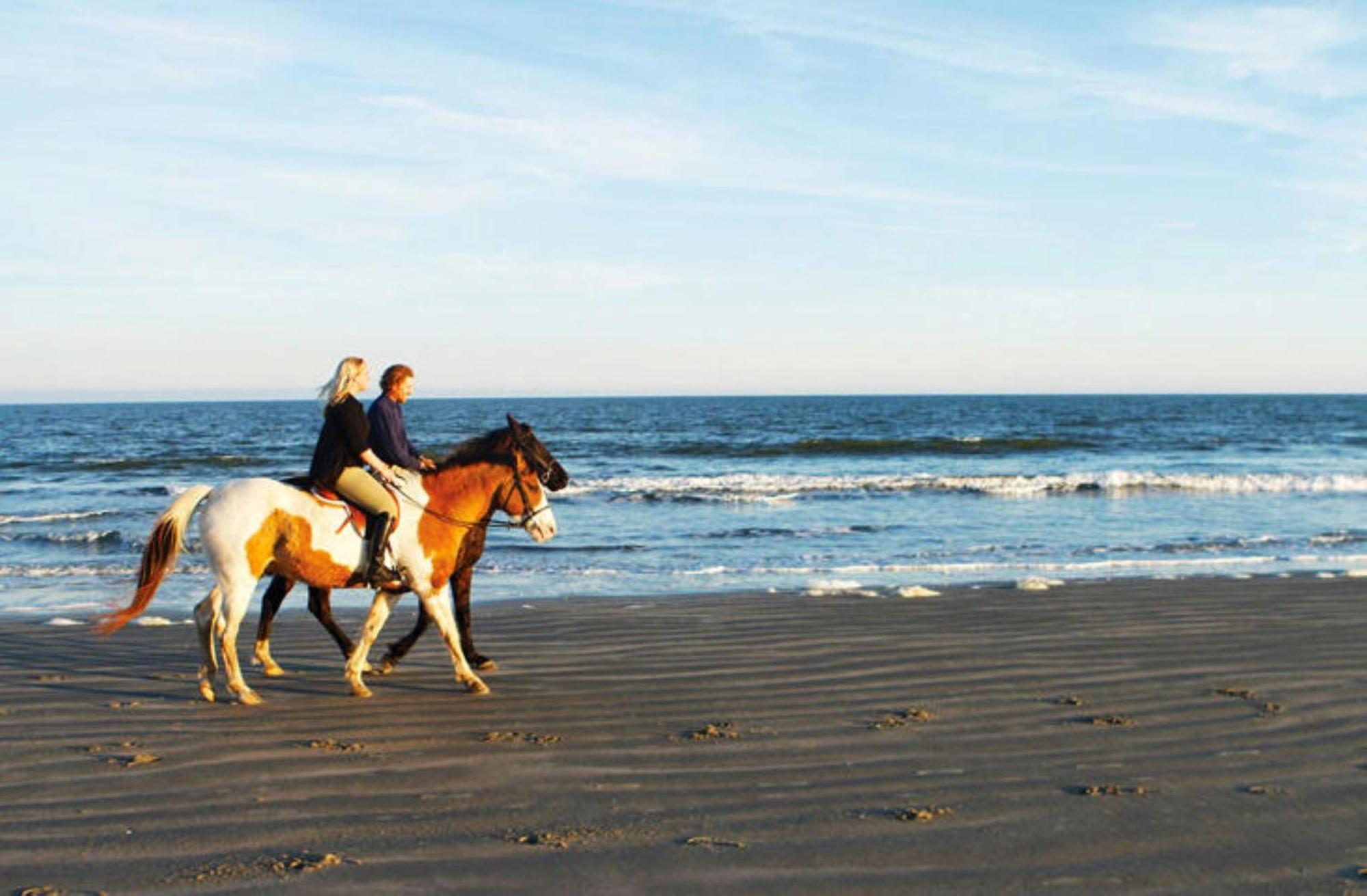1313 Pelican Watch - Seabrook Island - Beachfront 5 Star Condo - Fido Friendly מראה חיצוני תמונה